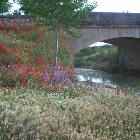 Гостьовий будинок Quinta Del Canal Tamariz de Campos Екстер'єр фото