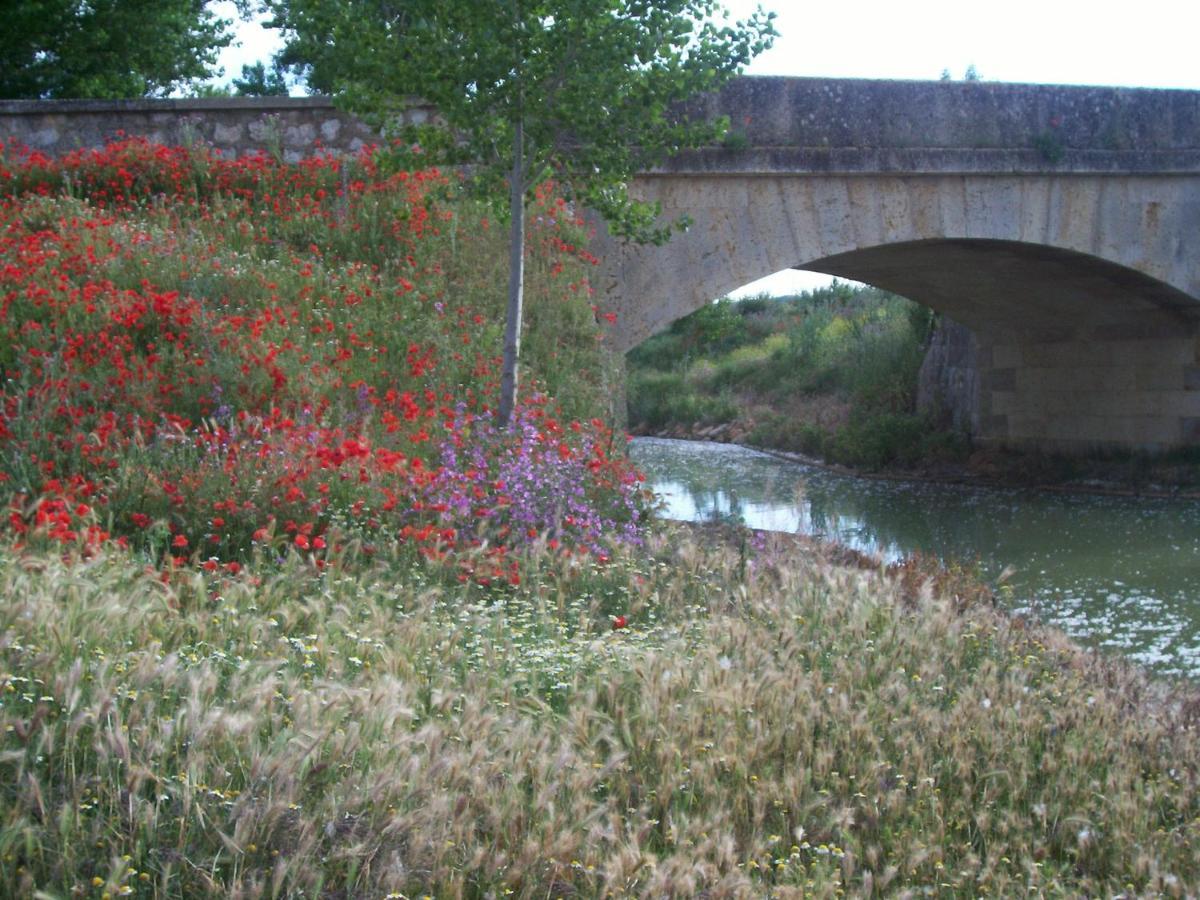 Гостьовий будинок Quinta Del Canal Tamariz de Campos Екстер'єр фото