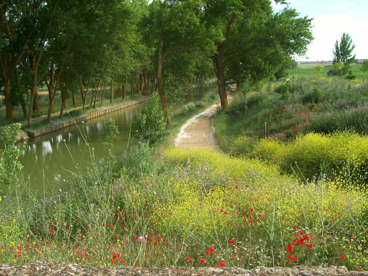 Гостьовий будинок Quinta Del Canal Tamariz de Campos Екстер'єр фото